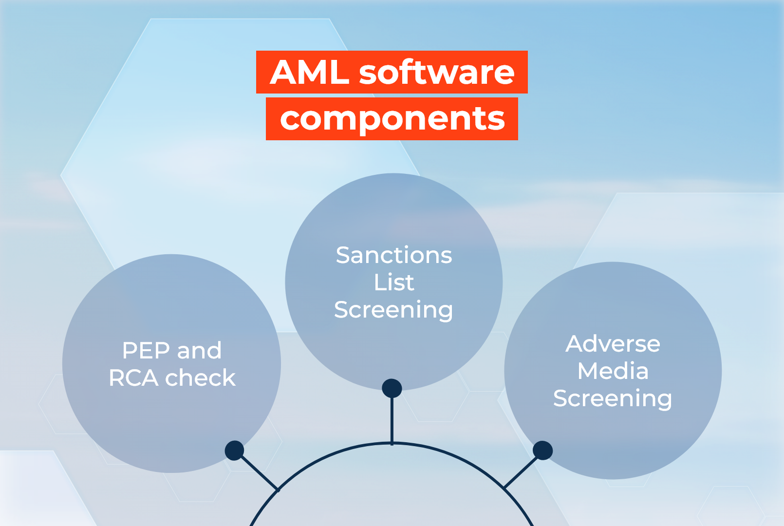 aml software components