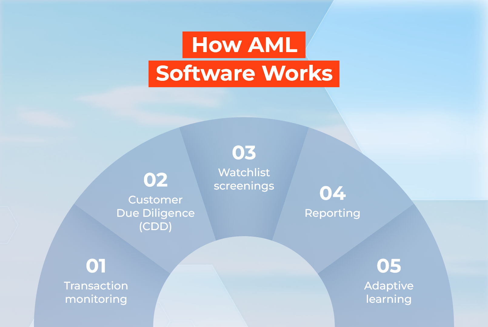 how aml software works